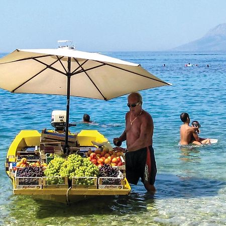 Nice Apartment In Krvavica With House Sea View Εξωτερικό φωτογραφία